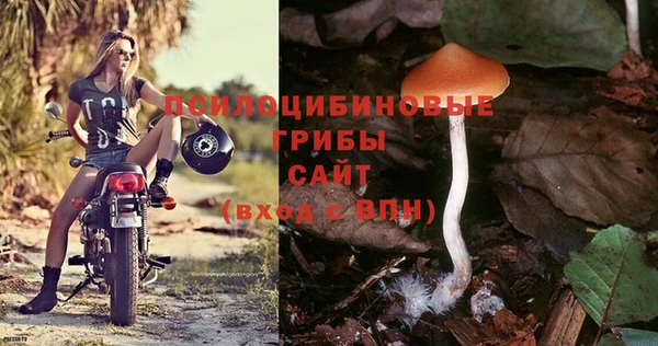 каннабис Абаза