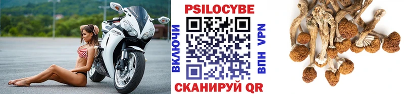 Галлюциногенные грибы GOLDEN TEACHER  наркотики  Красный Сулин 